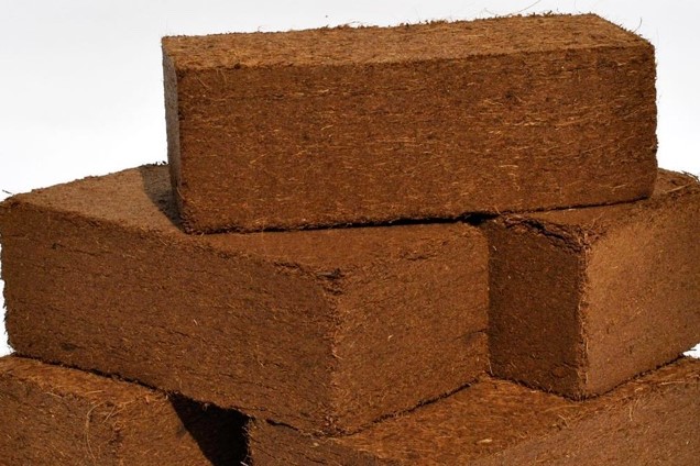 cocopeat