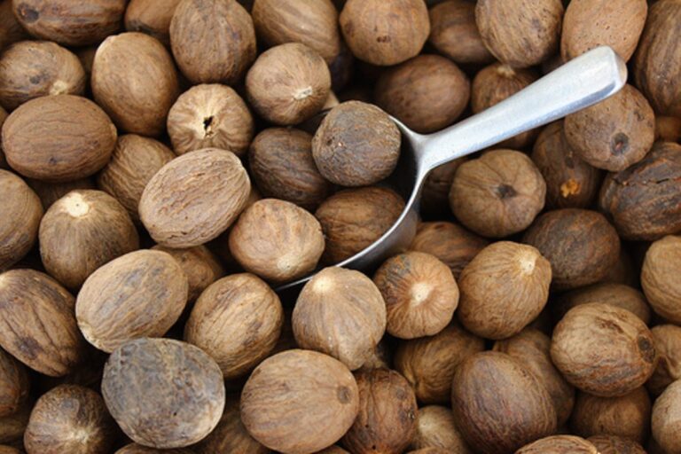 nutmegs